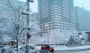 見事？な雪化粧