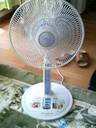 おニューな扇風機
