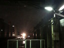 照明に映る筋が雨