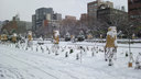 一面雪まみれなのです