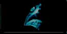 }g